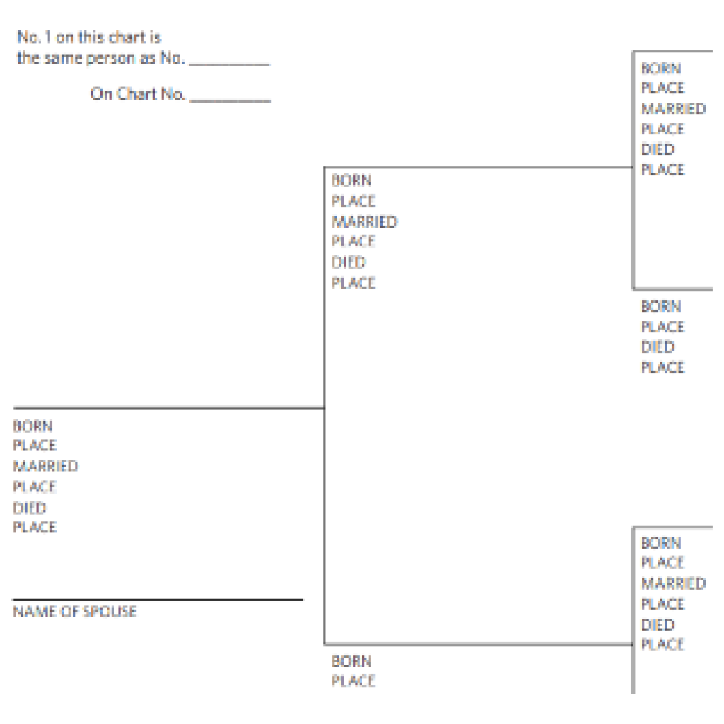 lineage-charts-laurens-district-chapter-scgs-inc